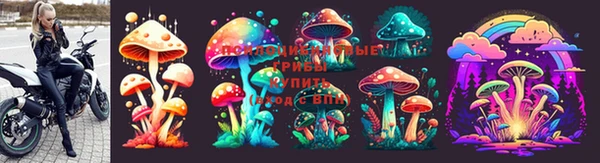 таблы Верхний Тагил
