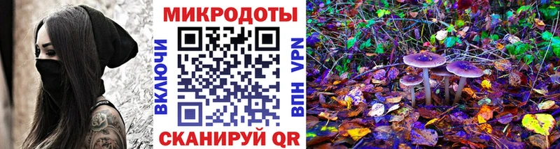 Псилоцибиновые грибы Psilocybine cubensis  купить   Инсар 